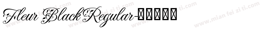 Fleur Black Regular字体转换